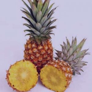 pineapple-sleep