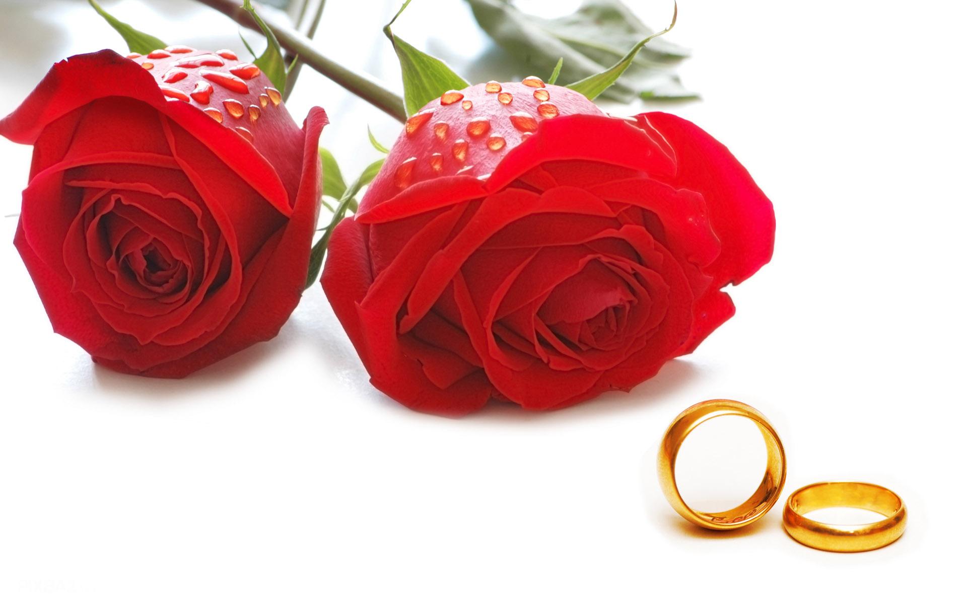 اهمیت و فواید ازدواج و تشکیل خانواده از دیدگاه قرآن و آیه قرآنی درباره ازدواج کردن