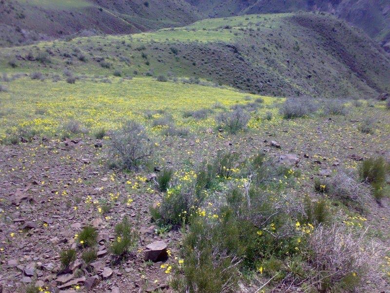 Mashkool آشنایی با روستای تاریخی و باستانی مشکول در شهرستان خلخال - دعاگو ...