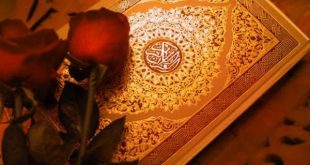 سوره ها قرآنی برای رسیدن به آرامش - مجرب ترین دعاهای قرآنی برای آرامش گرفتن