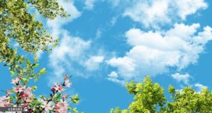 دعا جهت عذرخواهی و آشتی شخص مورد نظر - دعای عشق و محبت شیدایی