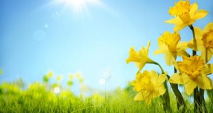 دعای کن فیکون برای ثروتمند شدن و برآورده شدن حاجات
