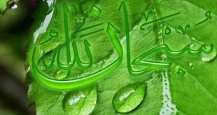 خواص و فضیلت فراوان گفتن مداوم ذکر سبحان الله - ثواب و پاداش گفتن ذکر سبحان الله