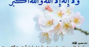 خواص و فضیلت فراوان مداومت در گفتن ذکر تسبیحات اربعه از رسول خدا (ص)