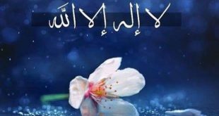 خواص و فضیلت گفتن ذکر لا اله الا الله برای حاجت روایی و آمرزش گناهان