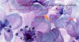 ذکر مجرب باردار شدن از امام صادق (ع) - دعای مخصوص باردار شدن سریع