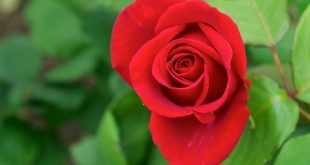 ذکر مخصوص برای آرامش - ذکر آرامش دهنده