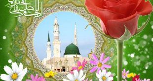ذکر پیامبر (ص) قبل از رحلت - ذکر مخصوص امام علی (ع)