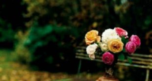 ذکر و دعای قرآنی مجرب برای دلخوش شدن و خوشحال شدن