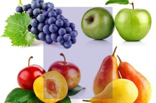 تعبیر خواب خوردن میوه های آبدار - دیدن میوه های بهشتی در خواب چه تعبیری دارد ؟