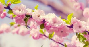 دعا و دستورالعمل مجرب برای دفع نحسی و بلاها