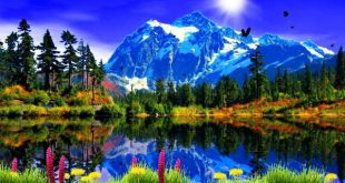 دعای مجرب و قوی برای تسخیر و مطیع کردن شخص مورد نظر