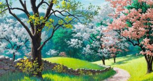 دعا و آیات قرآنی مجرب برای برآورده شدن حاجات و مهمات