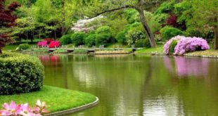 آيات قرآنی برای گشایش رزق و روزی كسانی كه رزق و روزی شان بسته شده