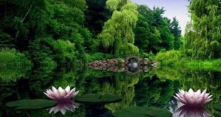 هفت آیه مجرب قرآنی برای عزیز و محترم شدن و غلبه و پیروزی بر دشمنان