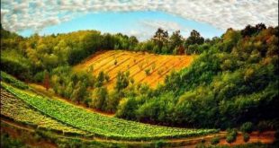 تاثیر فراوان دعا کردن در حق دیگران برای خود شخص دعا کننده