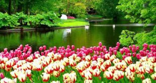 ختم برای افزایش رزق و روزی و رسیدن به مقامات رفیع