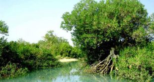 دعای مجرب جواب مثبت گرفتن و راضی شدن خانواده برای ازدواج