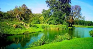 صلوات اسرار آمیز حضرت ام البنین (ع) برای طلب حاجت