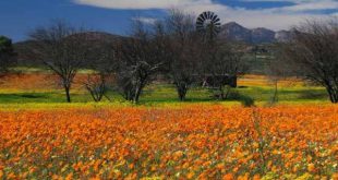 دعای بسیار مجرب برای رفع فقر و رسیدن به توانگری و ثروت
