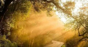 ذکر و دعای مجرب رفع ترس اجنه و شیاطین