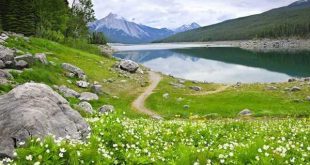 ختم مجرب ذکر بسم الله الرحمن الرحیم برای برآورده شدن حاجات