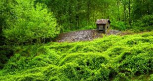 دعای تضمینی نجات از گرفتاری ها و رفع مشکلات و سختی های زندگی
