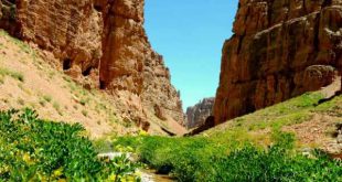 سوره قرآنی برای روزی فراخ و فراوانی رزق و روزی