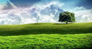 سوره قرآنی برای دفع وسوسه - دعای مجرب دفع وسوسه و هوس های شیطانی