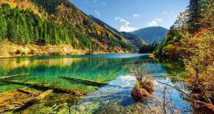 دستورالعمل مجرب جهت ازدواج و فروش خانه و حاجت روایی