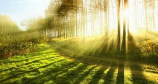 خواص نماز روز یکشنبه ذی القعده برای آمرزش گناهان و افزایش رزق و روزی