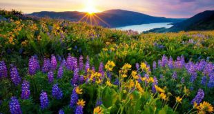 سوره مجرب برای رفع درد شکم - دعای درمان دل درد و دل پیچه