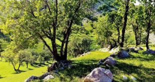 دعای مجرب شفا در بیماری های سخت و لاعلاج - دعا برای سلامتی مريض