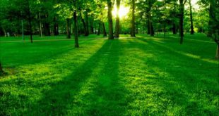 دعا برای تمرکز حواس درس خواندن و مطالعه