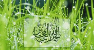 دعا برای رفع همزاد مجرب و حاجت روایی و مال و ثروت و ادای قرض