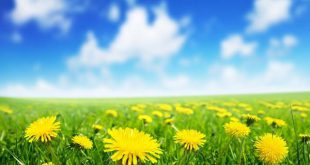 دعای برای فراوانی اب چاه - دعا برای پرآب شدن چاه - دعا برای زیاد شدن آب چاه