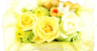 دعای تسخیر قلوب مخصوص کارهای اداری (مجرب و تضمینی)