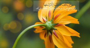 سه آیه قرآنی برای باطل کردن طلسم و سحر مجرب و تضمینی