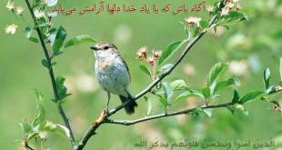 دستور قوی برای بستن زبان دشمن - نسخه زبانبند تضمینی و مجرب