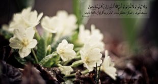 دعای زبان بند قوی از بهجت - دعای مخصوص بستن زبان دشمنان