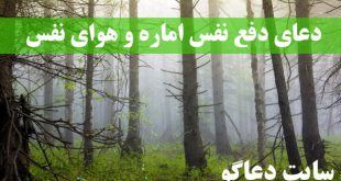 دعای دفع نفس اماره و غلبه بر هوای نفس و شهوت