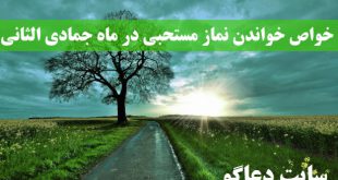 خواص خواندن نماز مستحبی در ماه جمادی الثانی + طریقه خواندن نماز