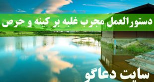دستورالعمل مجرب غلبه بر کینه و حرص و شهوت و غضب