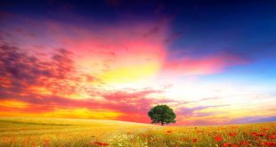 دعای مجرب برای جذاب و عزیز شدن نزد مردم