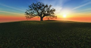 روش ختم سوره انعام برای حاجت گرفتن و گشایش رزق و روزی مجرب