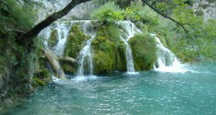 ذکر و دعایی برای استجابت دعا و حاجت در مفاتیح الجنان