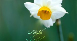 دعای امام زمان برای کارگشایی و رفع مشکلات و گرفتاری ها
