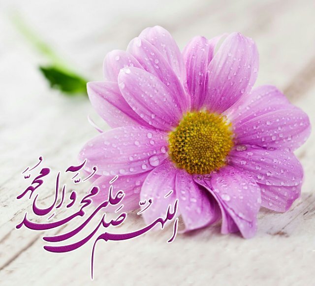 ختم 69 روزه ذکر صلوات برای توسل به حضرت زینب جهت حاجت