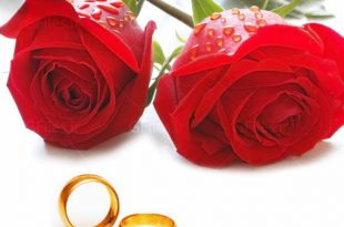 دستورالعمل قرآنی بخت گشایی و ازدواج آسان دختران و پسران مجرد