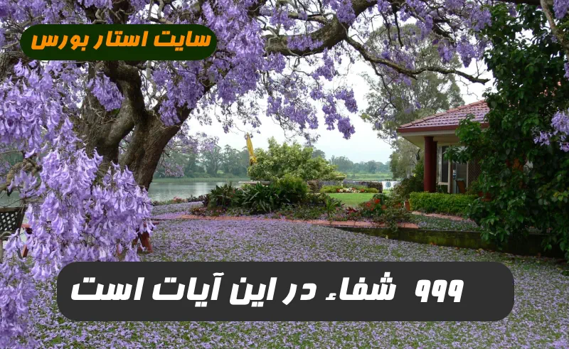 999 شفاء در این آیات است هر کس بخواند شفا یابد و ایمن شود